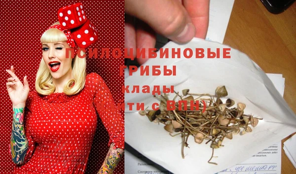 метадон Новодвинск