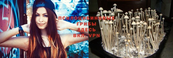 бошки Алексеевка
